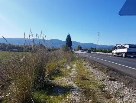 Auch Dogusbelen Null Von Der Hauptstraße, Grundstücke Zum Verkauf