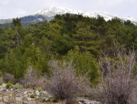 Fethiye, Nifte, 2 000 M2, Freistehend Zu Verkaufen, Schnäppchengrundstück