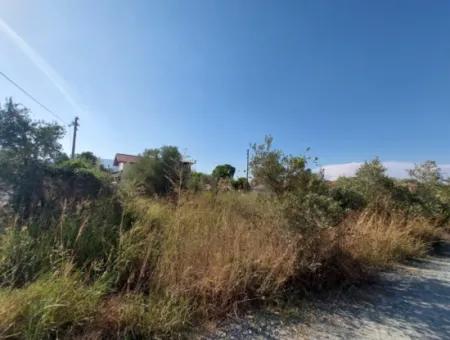 Grundstück In Der Gegend Von Dalyan Arikbaşi Zum Verkauf