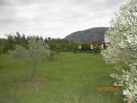 Grundstücke Zum Verkauf In Dalyan, Immobilien Schnäppchen