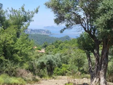 Mugla Gökbelde See- Und Meerblick 1000M2 Land Zum Verkauf