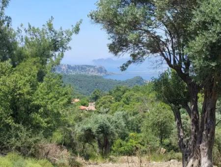 Mugla Gökbelde See- Und Meerblick 1000M2 Land Zum Verkauf