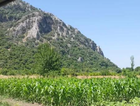 1 900 M2 In Dalyan Okçular Marmarlı, Grundstück Im Bebauungsplan Steht Zum Verkauf
