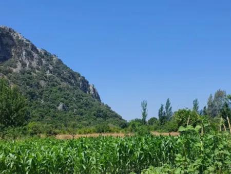 1 900 M2 In Dalyan Okçular Marmarlı, Grundstück Im Bebauungsplan Steht Zum Verkauf