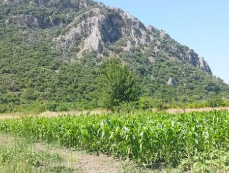 1 900 M2 In Dalyan Okçular Marmarlı, Grundstück Im Bebauungsplan Steht Zum Verkauf
