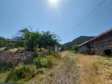 2500 M2 Freistehende 2 Häuser Und Scheunen, Lager Zum Verkauf In Çameli Kızılyaka