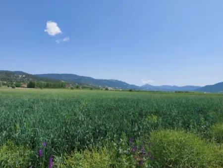 Schnäppchengrundstück Zum Verkauf In Çameli Bıçakçı 5.333 M2 Freistehende Eigentumsurkunde Zum Verkauf