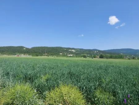 Schnäppchengrundstück Zum Verkauf In Çameli Bıçakçı 5.333 M2 Freistehende Eigentumsurkunde Zum Verkauf