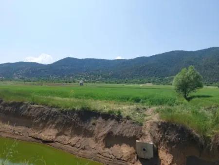 Schnäppchengrundstück Zum Verkauf In Çameli Bıçakçı 5.333 M2 Freistehende Eigentumsurkunde Zum Verkauf