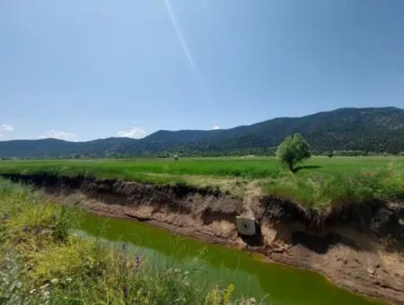 Schnäppchengrundstück Zum Verkauf In Çameli Bıçakçı 5.333 M2 Freistehende Eigentumsurkunde Zum Verkauf