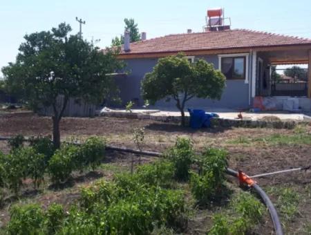 5400 M2 Fertiger Bauernhof Zum Verkauf In Ortaca Arıkbaşı