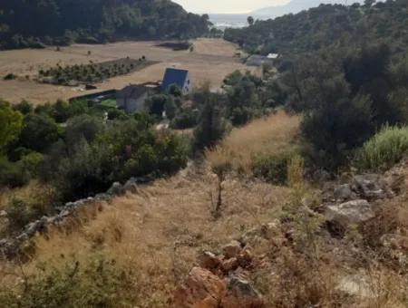 12 300 M2 Land Geeignet Für Investitionen Zum Verkauf In Antalya Kaş Kalkan Islam