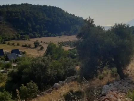 12 300 M2 Land Geeignet Für Investitionen Zum Verkauf In Antalya Kaş Kalkan Islam