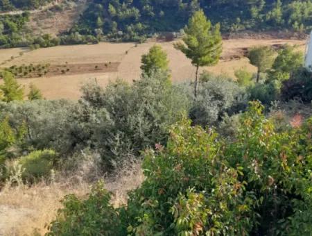 12 300 M2 Land Geeignet Für Investitionen Zum Verkauf In Antalya Kaş Kalkan Islam