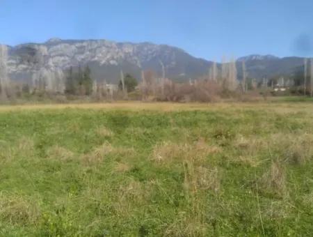 Land Zum Verkauf In Bargain Detached Zeytinalani