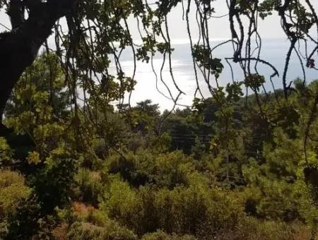 Tourismus-Zonen Grundstücke Zum Verkauf In Fethiye Mit Meerblick Faralya