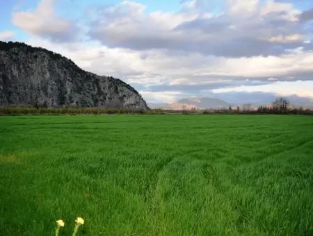 Freistehende Fruchtbare Schnäppchen Land Zum Verkauf In Ortaca Mergenli