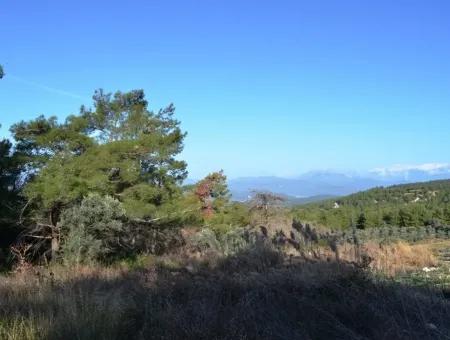 Wertvolle Waterfront Land Zum Verkauf In Tlos Fethiye Kragen