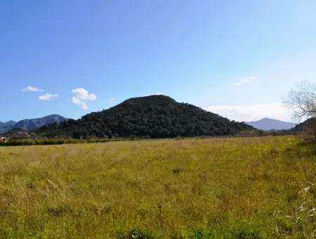 Bauernhof Zum Verkauf Schnäppchen In Dalyan