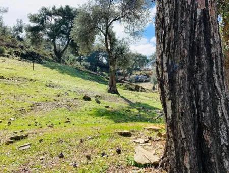 Freistehendes Feld Zu Verkaufen In Ortaca Gökbel