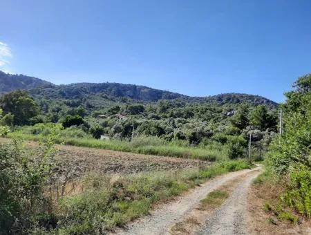 Oriya Fevziye Land Zum Verkauf In Null-Straße