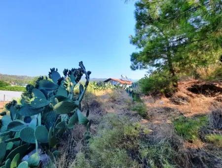 Grundstück Mit Meerblick Zum Verkauf In Fethiye Ciftlikkoy