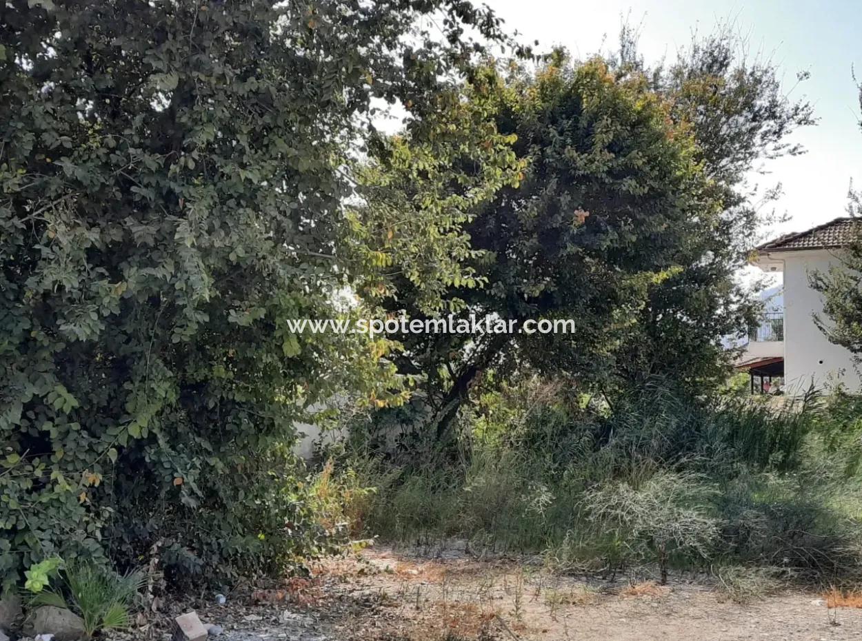 Mugla Dalyanda 500 M2 Zoning Bargain Land For Sale