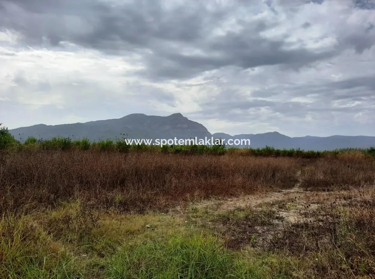 Fertile Land For Sale In Ortaca Eskiköy