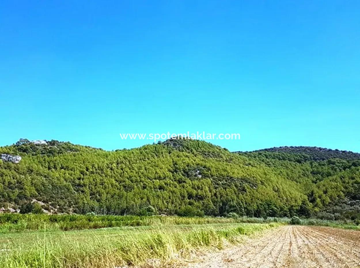 Fertile Bargain Land For Sale In Muğla Ortaca Güzelyurt