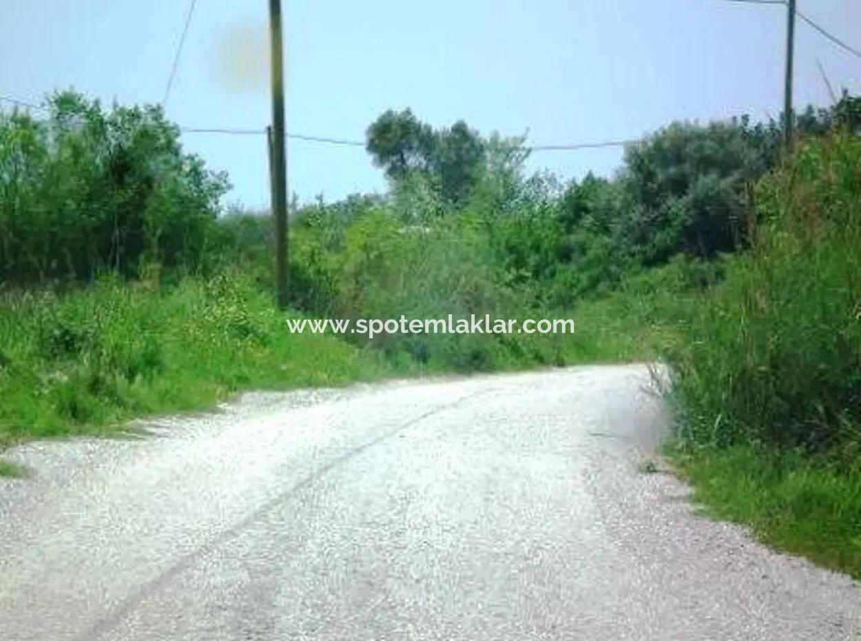 Oriya Fevziye For Sale Bargain Land, Suitable For Investment, 1500 M2