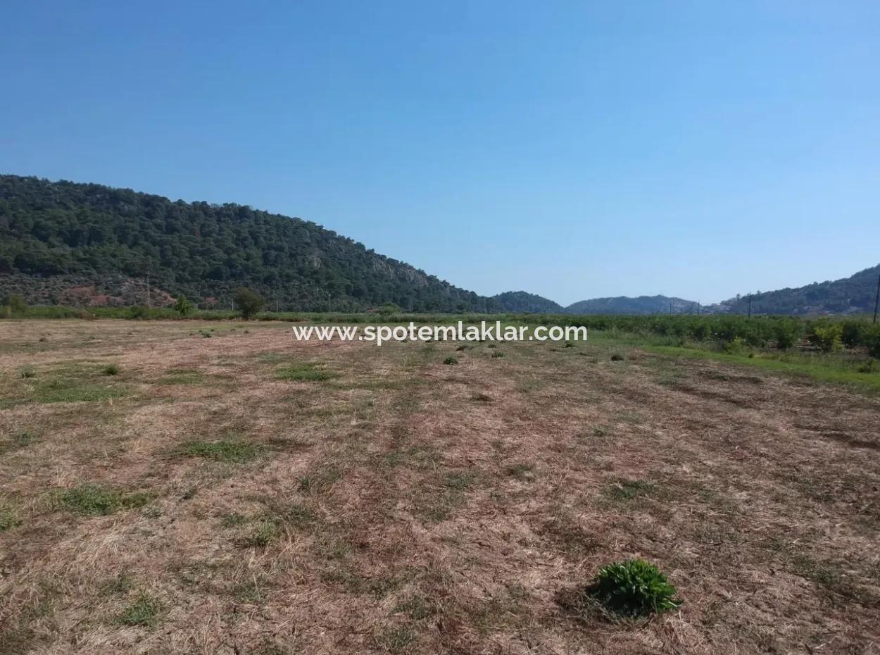 For Sale Land Guzelyurt Ta Oriya, Bargain 9726 M2