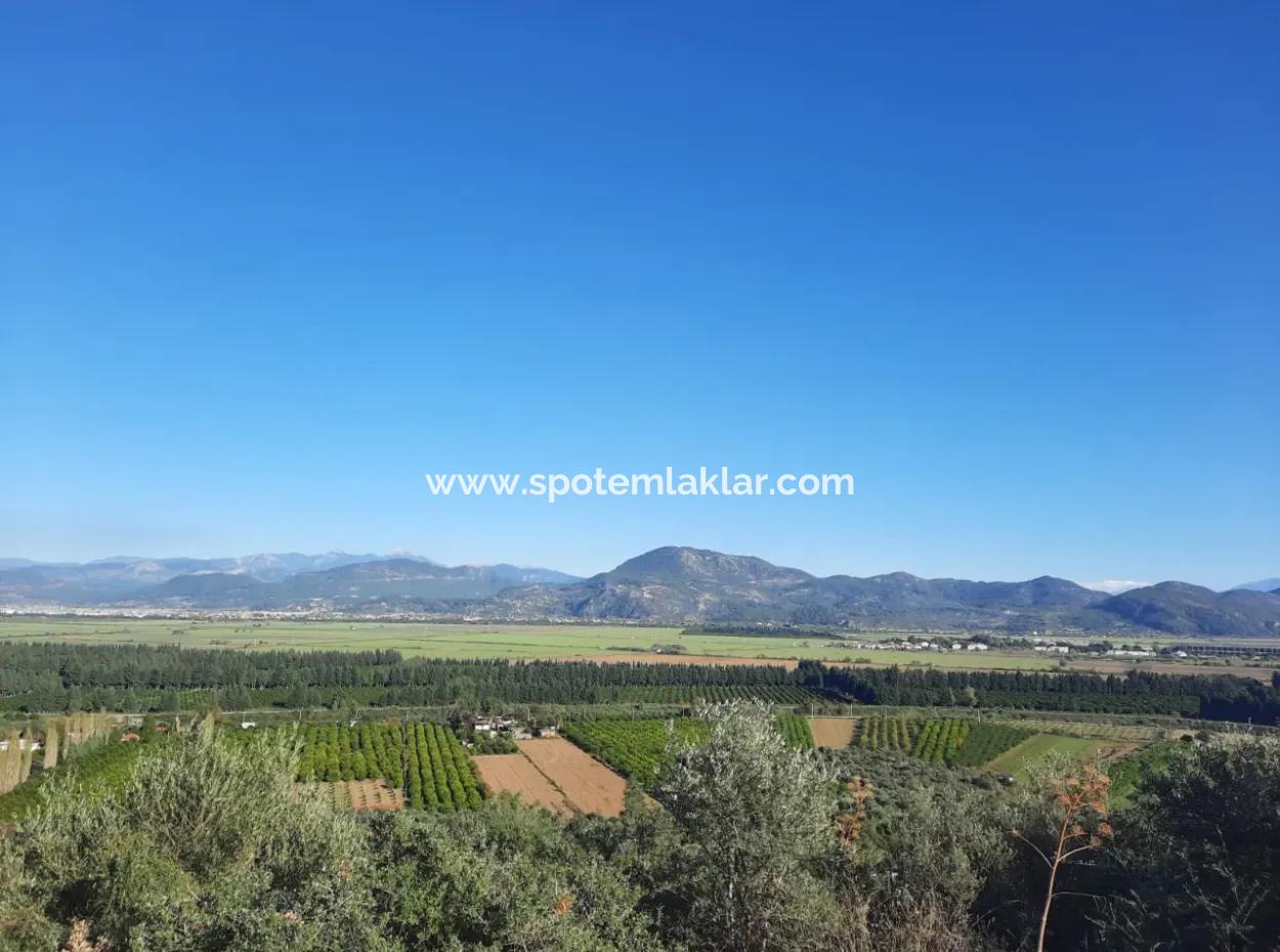 Olive Grove With Sea And Nature View In Ortaca Fevziye For Sale