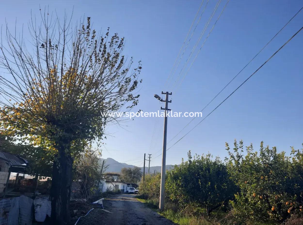 Mugla Ortaca Dalaklı 2000 M2 Land For Sale