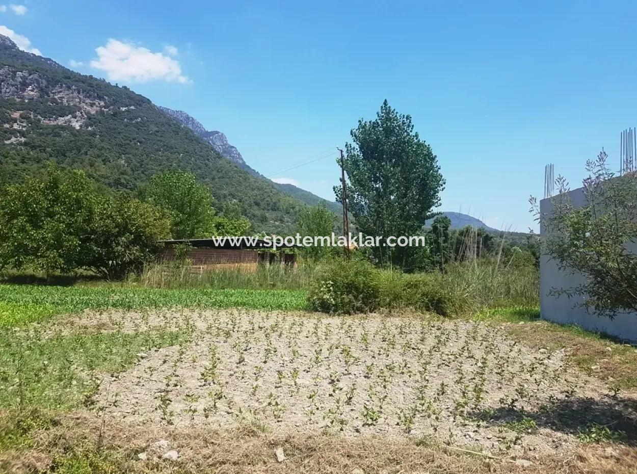 3700 M2 Land For Sale In Koycegiz