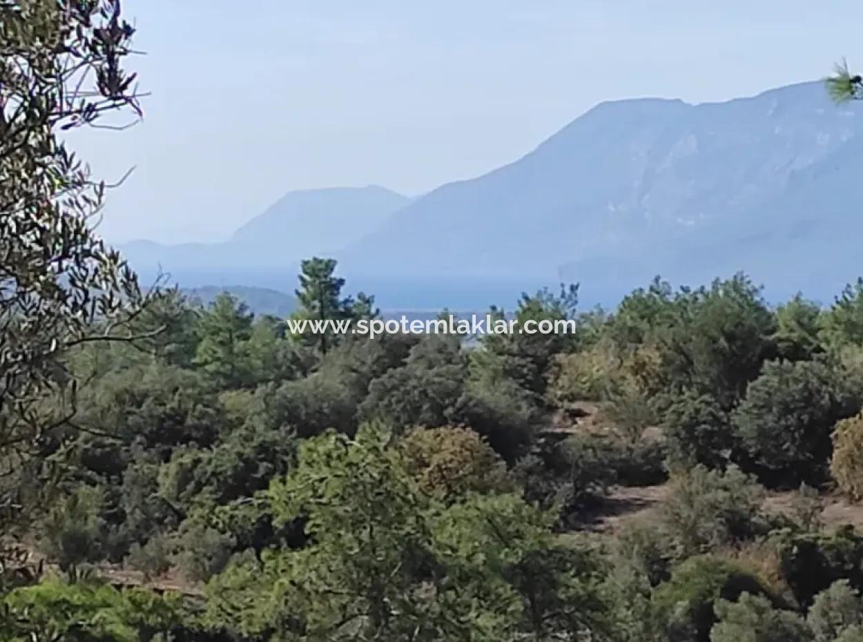 Ula Esentepede 4 200 M2 Sea View Land For Sale