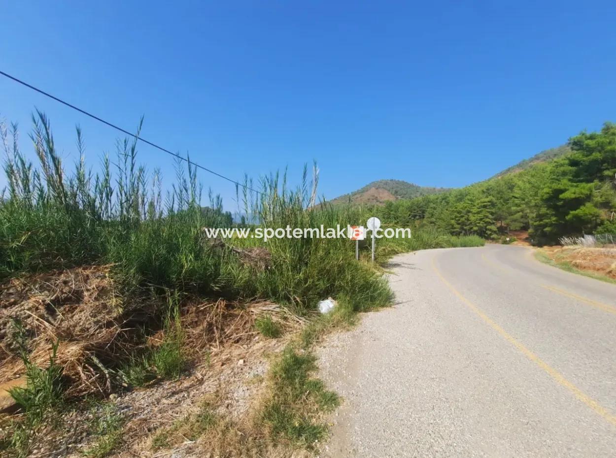 16.373 M2 Fertile Land For Sale In Muğla Ortaca Ekşiliyurt