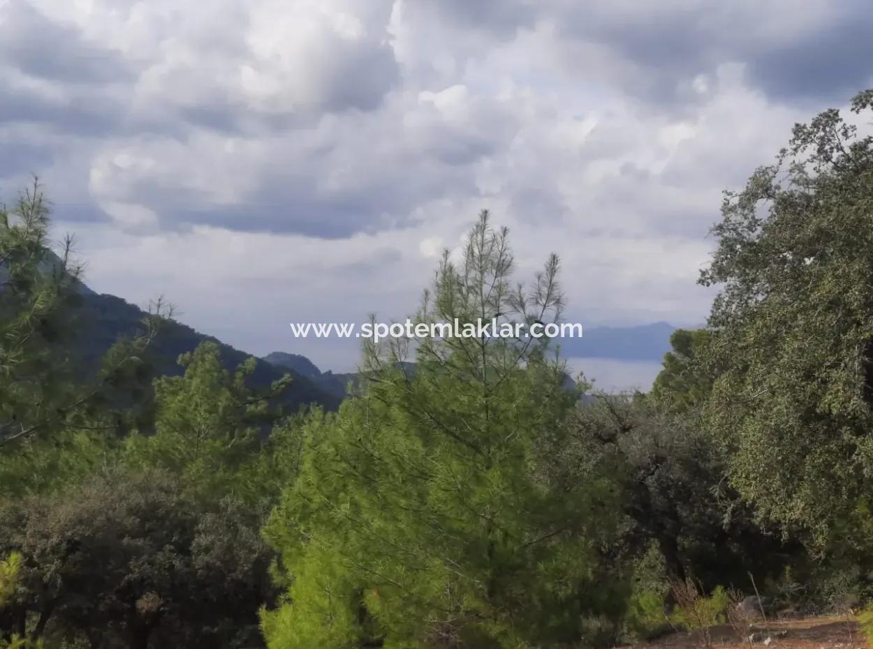 Muğla Dalyan Gökbelde 7 270 M2 Detached Title Deed Sea And Lake View Land For Sale