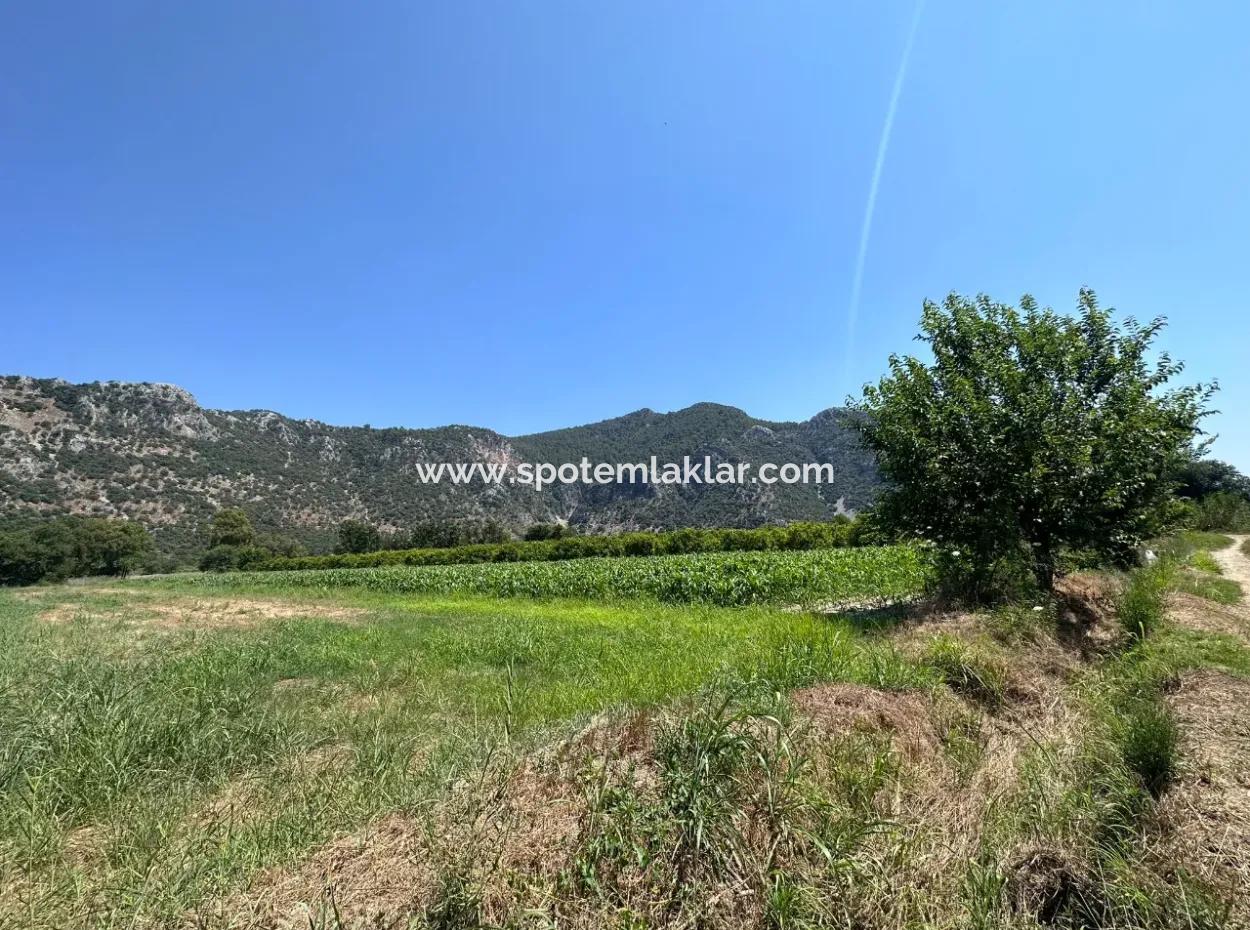 970 M2 Rızai Taksimli Share For Sale In Dalyan