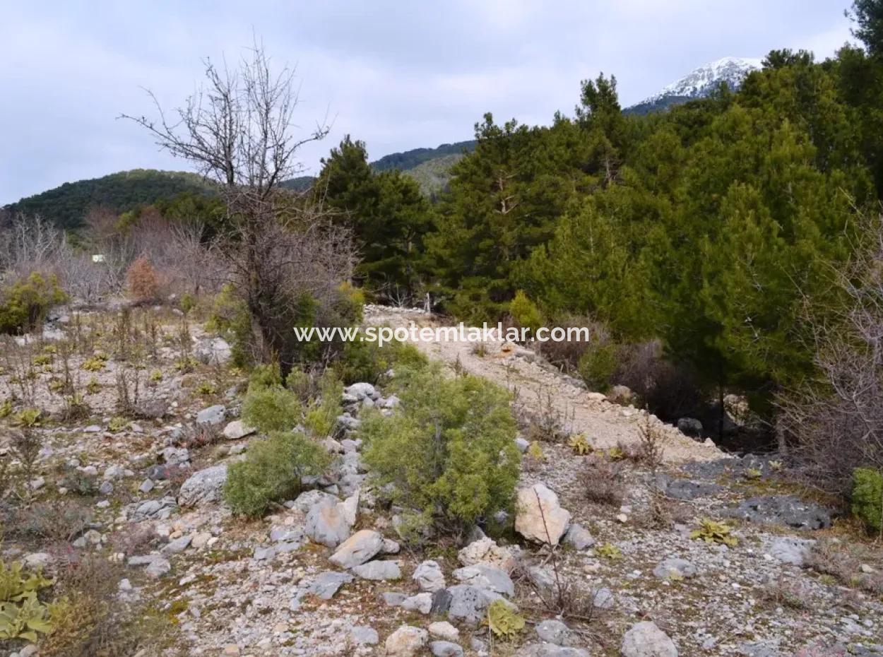 Fethiye, Nifte, 2 000 M2, Detached For Sale, Bargain Land