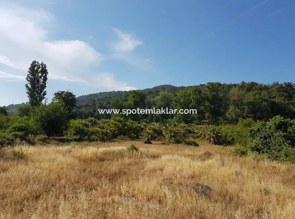 Kemaliye Zero From The Main Road Land For Sale