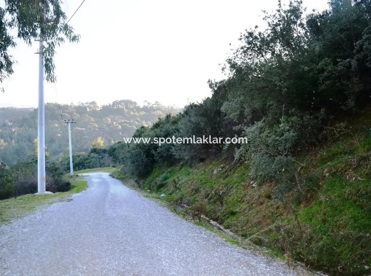 Residential Plot For Sale At Bargain Ula Esentepe