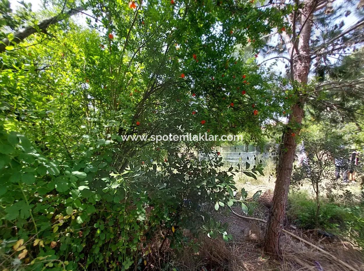 500 M2 Land With Rızai Partition In Ortaca Kemaliye For Emergency Sale