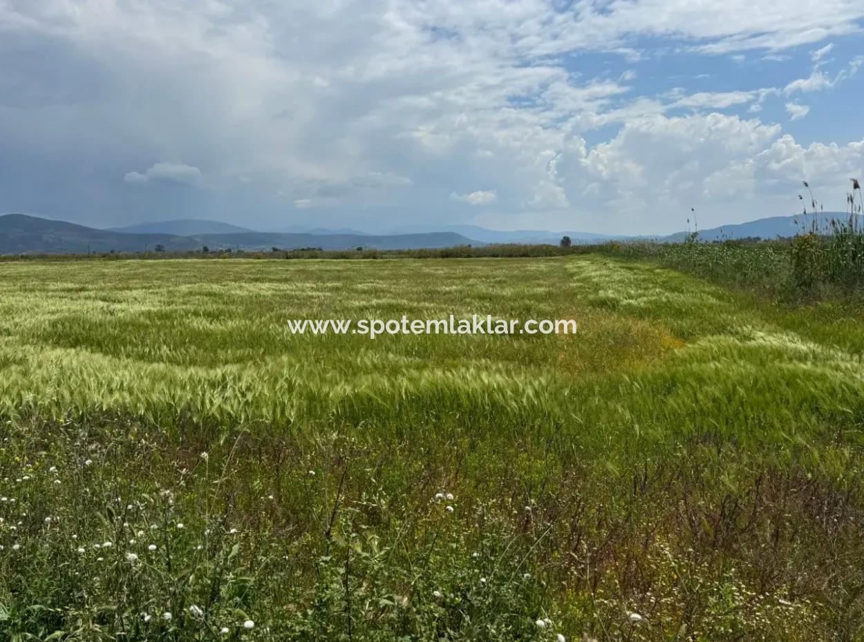 Milas Avşar 27.216 M2 Flat Data Detached Land For Urgent Sale, Open To Offer