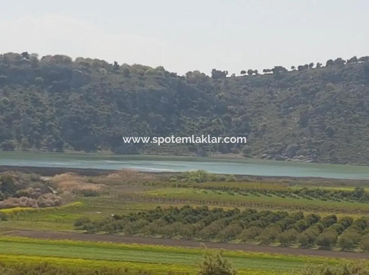Lake-Zero Treasury Land In Muğla Dalaman Kapıkargın – Possession Will Be Transferred 
