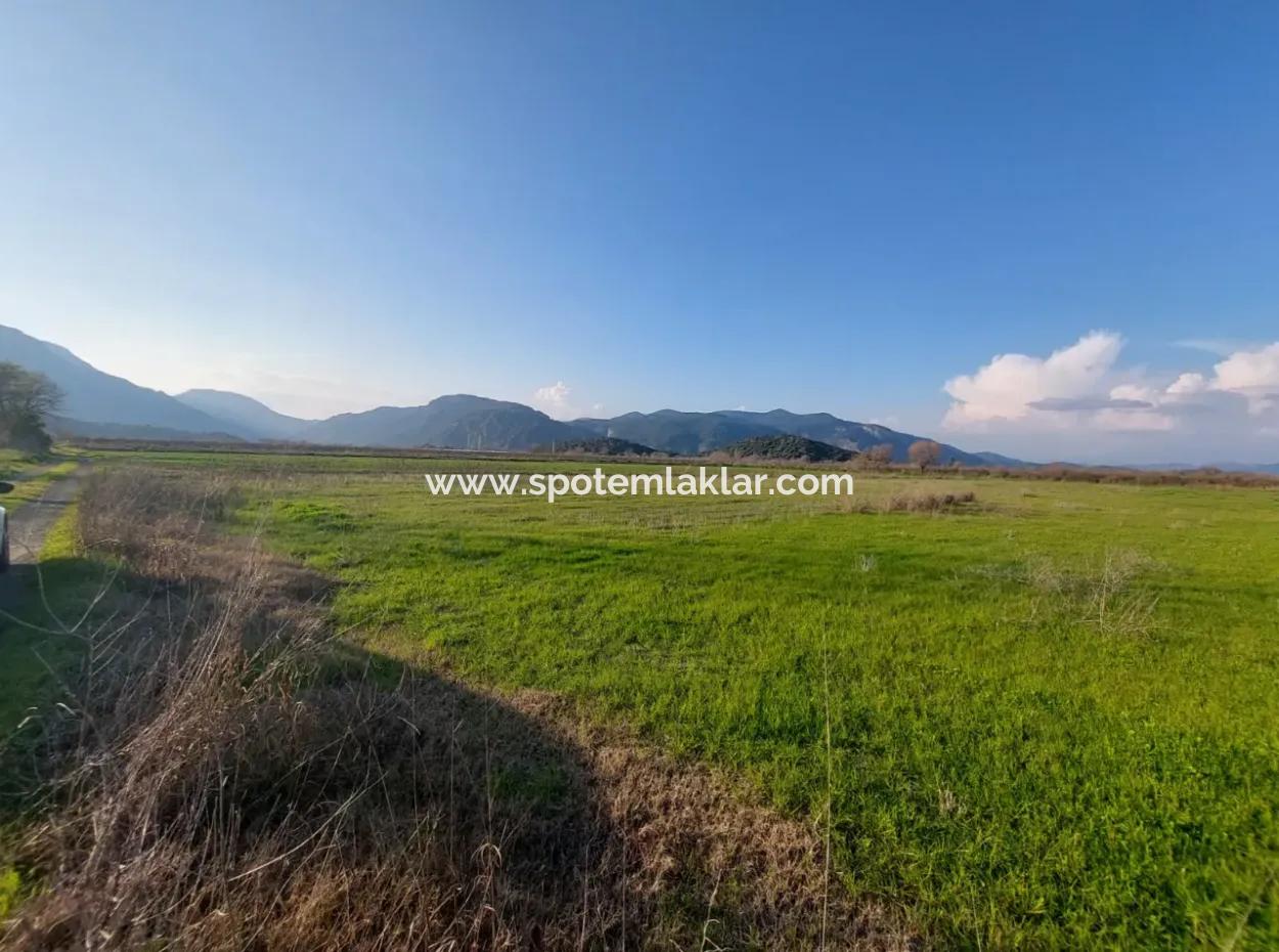 14.500 M² Fertile Land In Ortaca Güzelyurt For Long-Term Rental – Suitable For Animal Husbandry