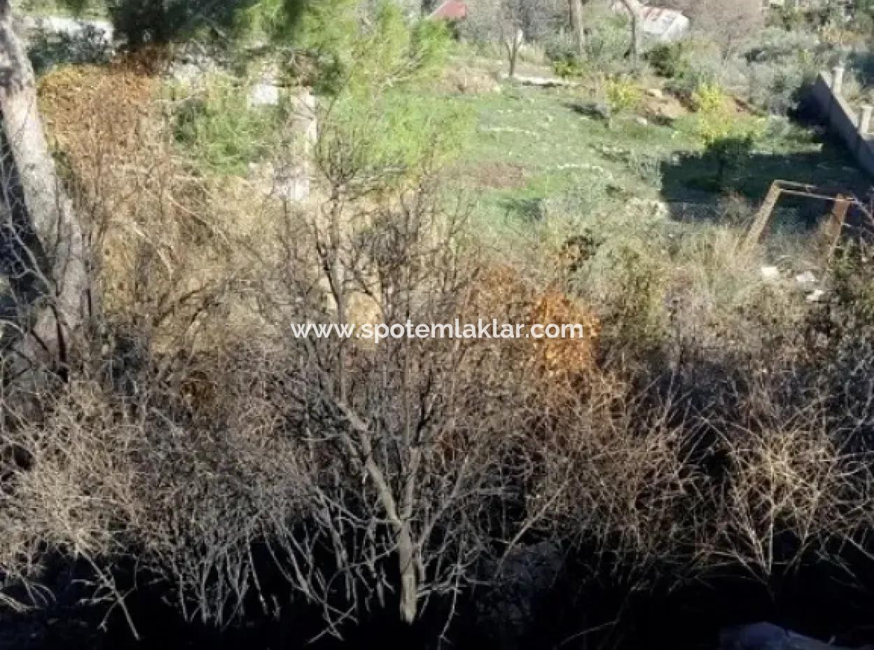 Plot Of Land For Sale In Dalaman Honor