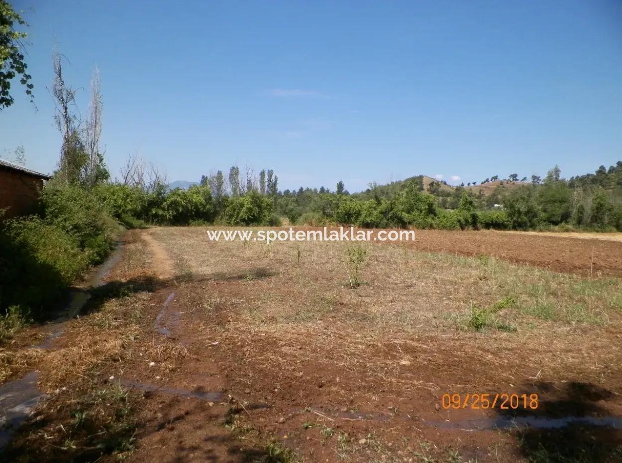 In Beyoba Of Fertile Land For Sale Bargain