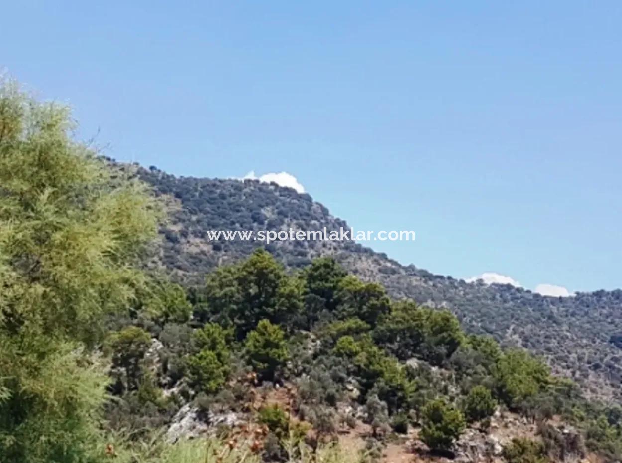 Sea View Land For Sale In Mugla Dalaman Kapıkargın