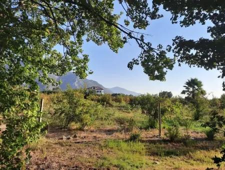 Land Suitable For Investment For Sale In Mugla Dalyan Marmarlı