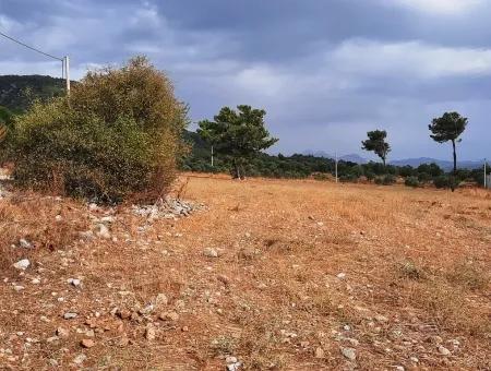 Detached Land With Lake Views For Sale In Köyceeğiz Zeytin Area